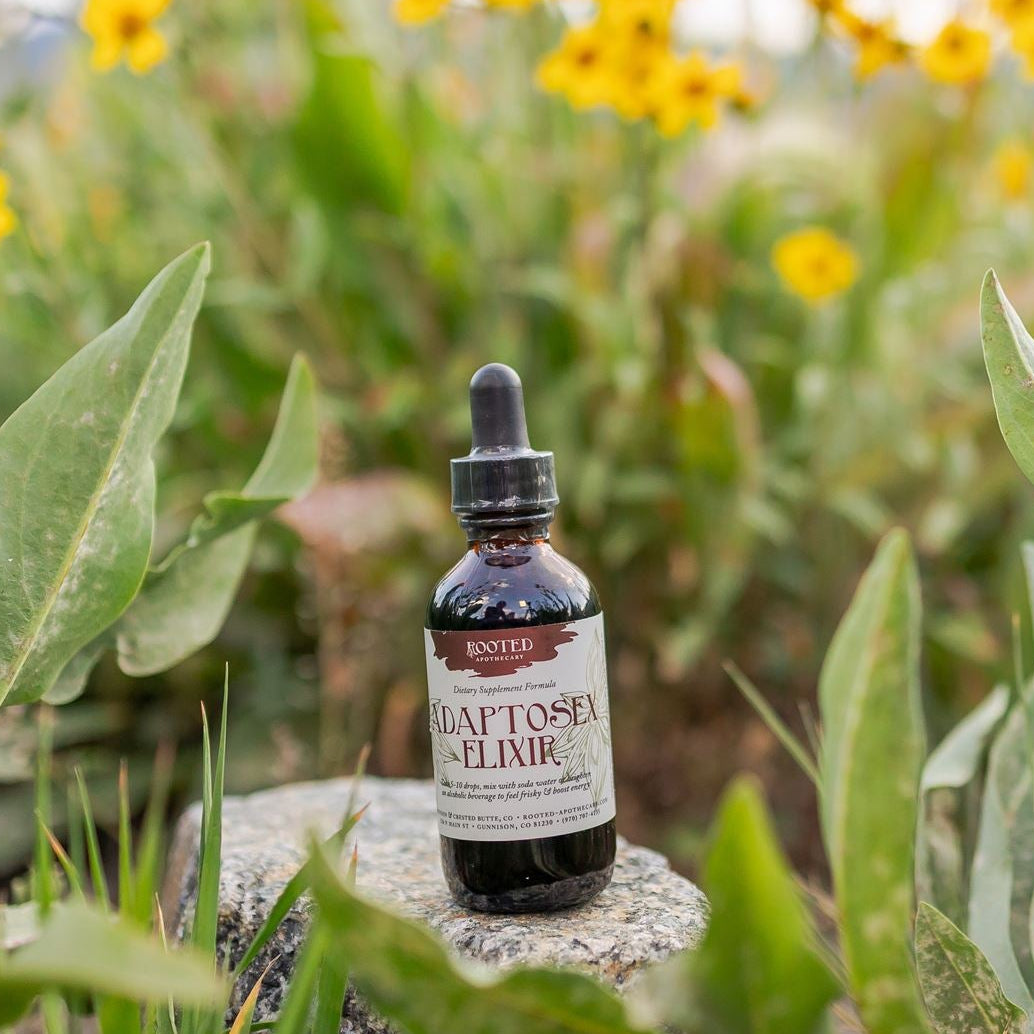 Adaptosex Elixir Tincture – Rooted Apothecary