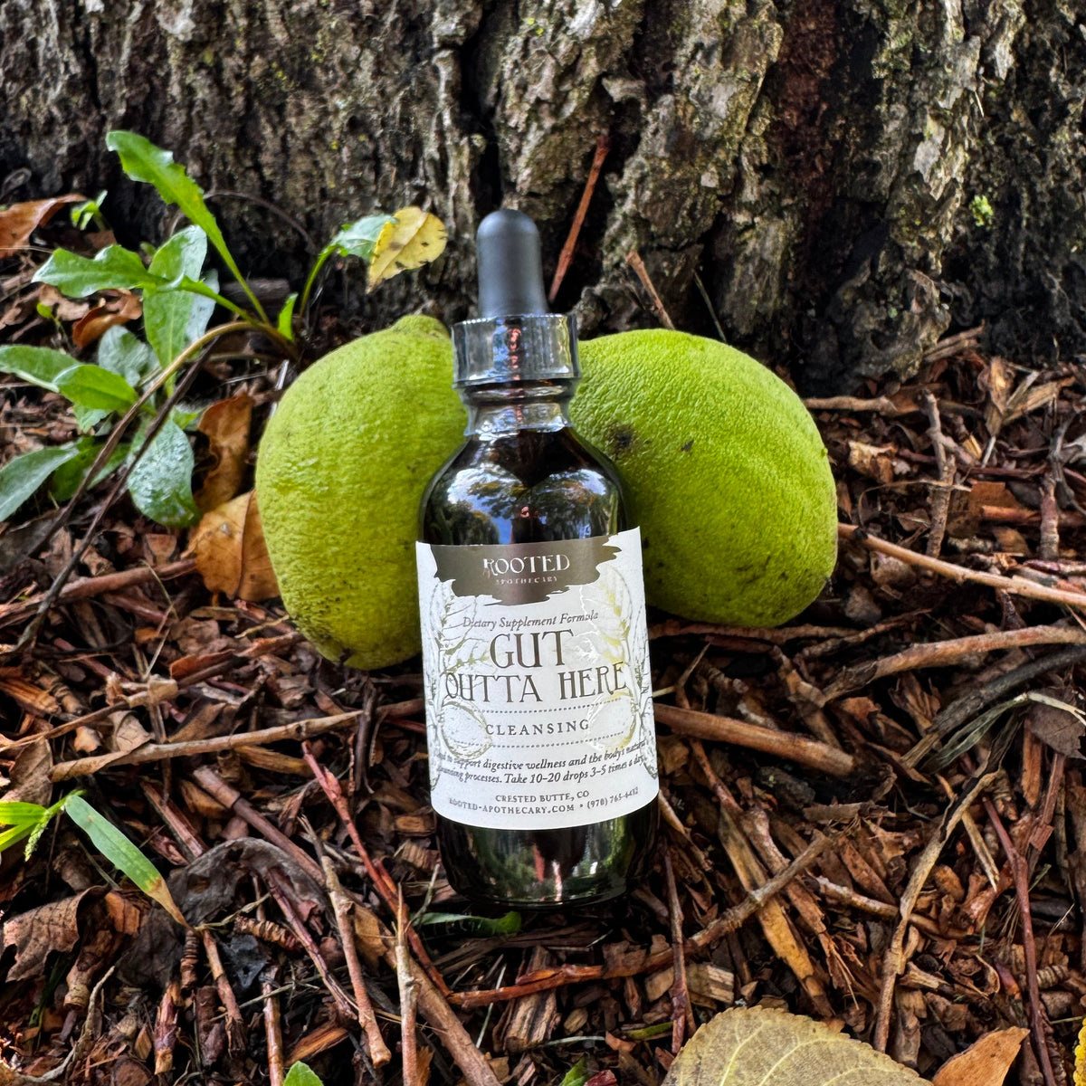 Gut Outta Here Tincture