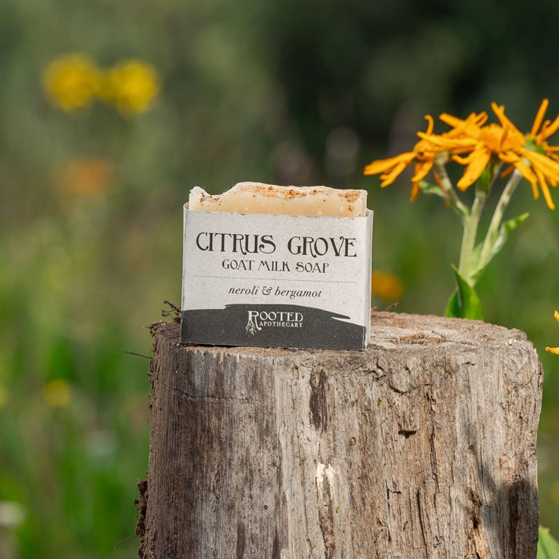 Citrus Grove Goat Milk Soap