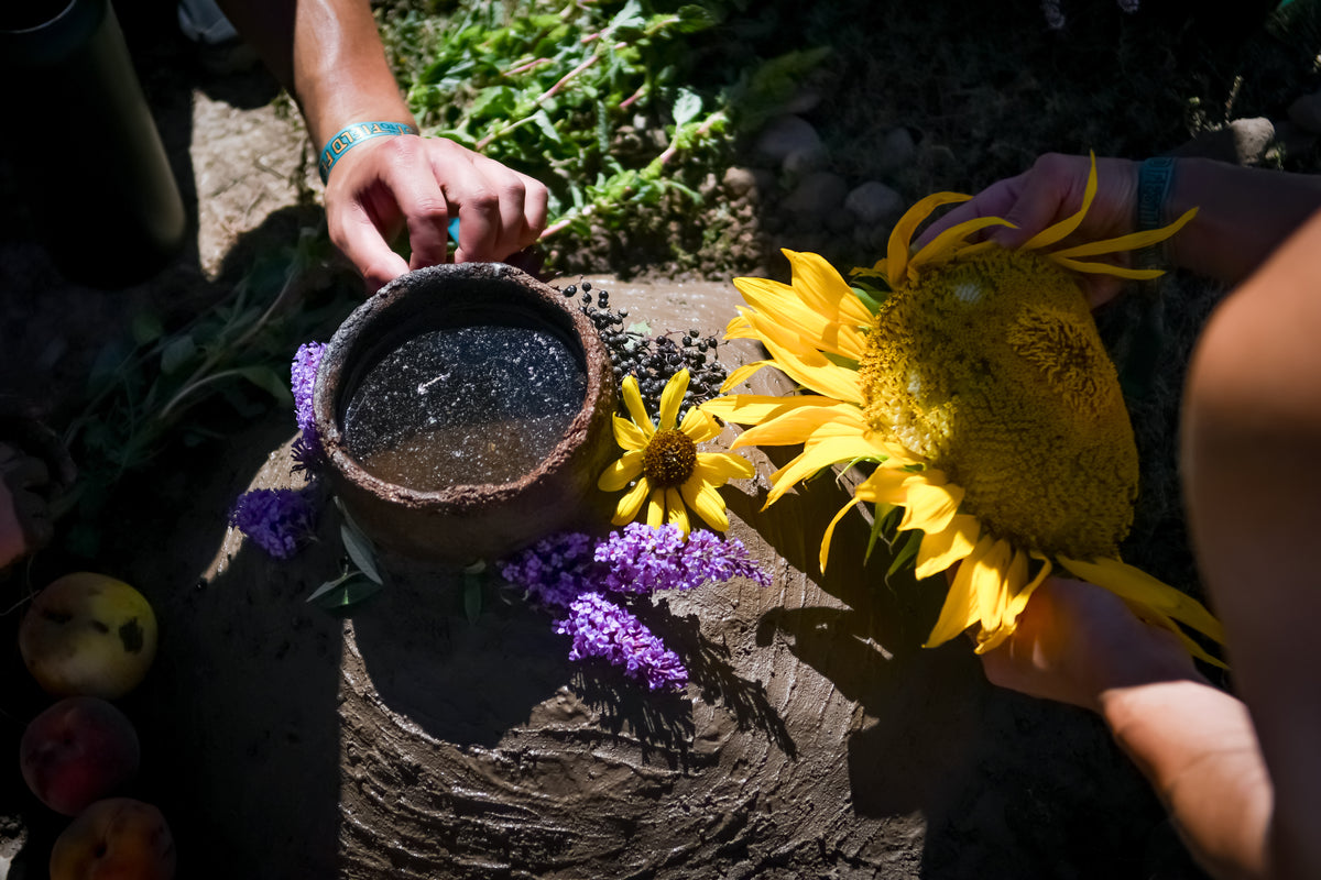 Roots of Wisdom + Earth Shrine