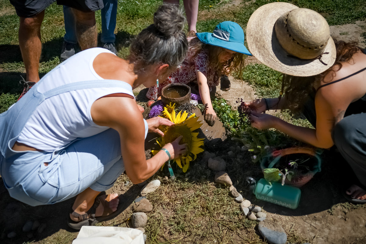 Roots of Wisdom + Earth Shrine
