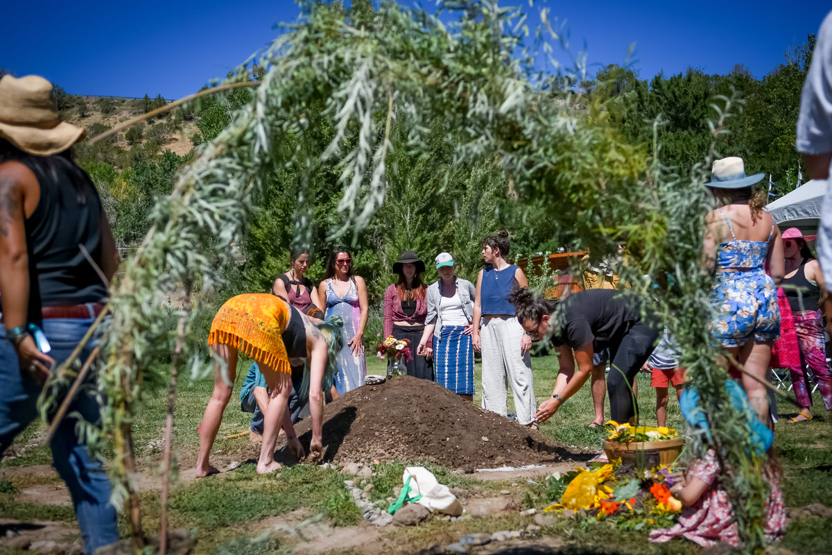 Roots of Wisdom + Earth Shrine
