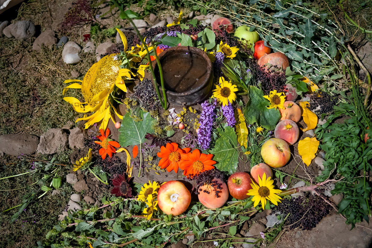 Roots of Wisdom + Earth Shrine