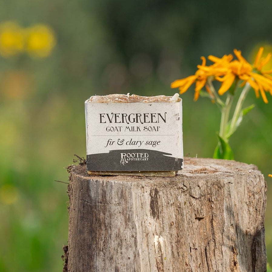 Evergreen Goat Milk Soap