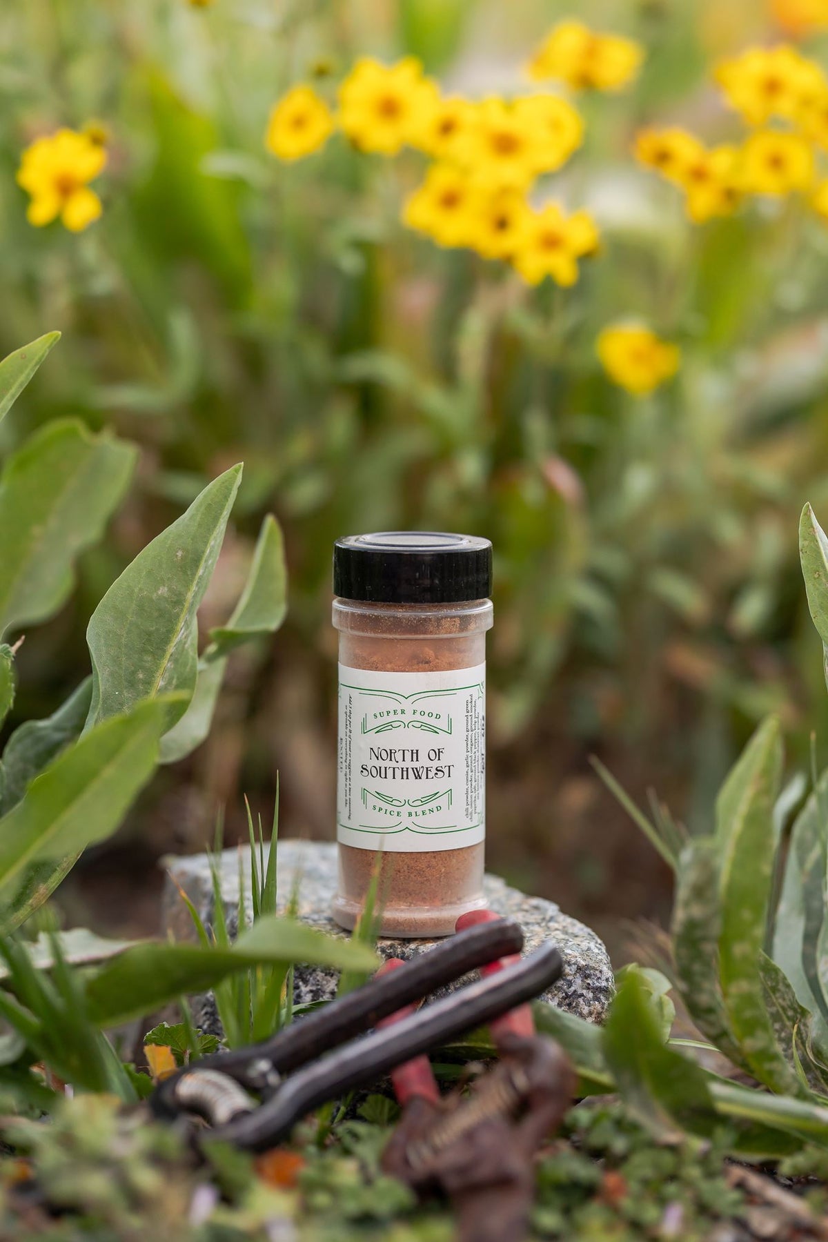 North of Southwest Spice Blend