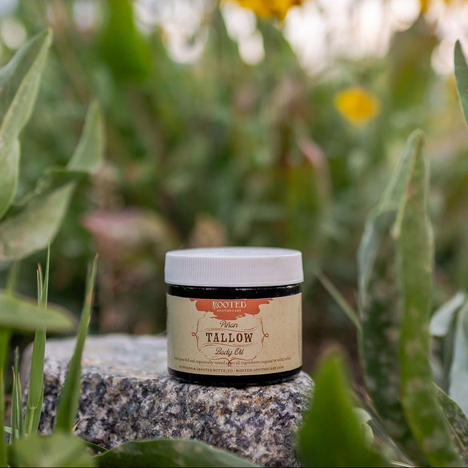 Piñon Tallow Body Oil