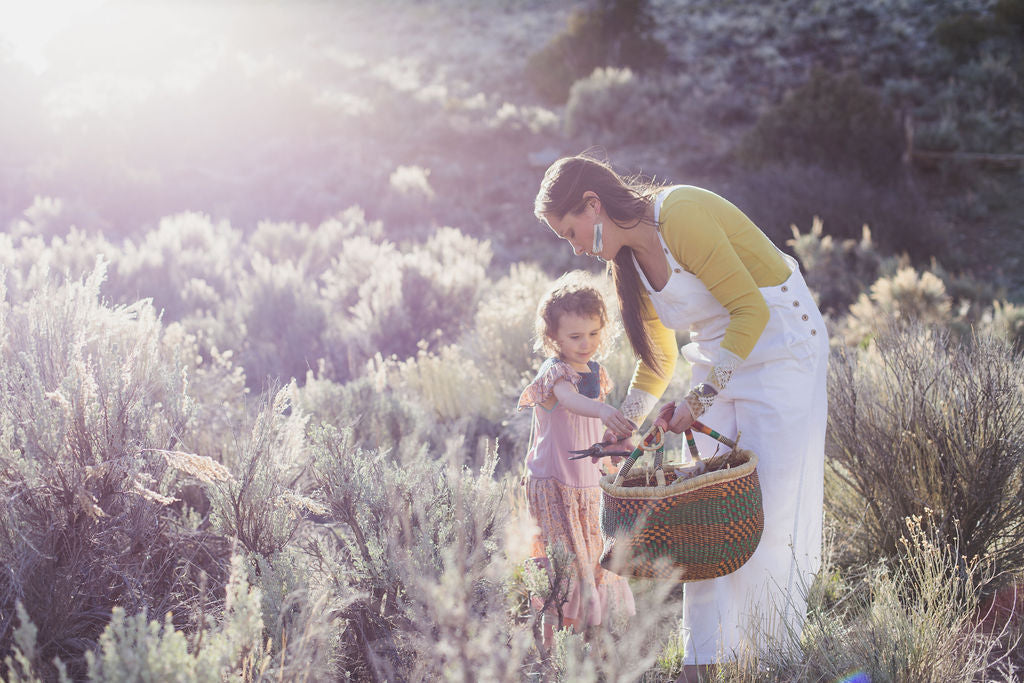 Herbs for Summer