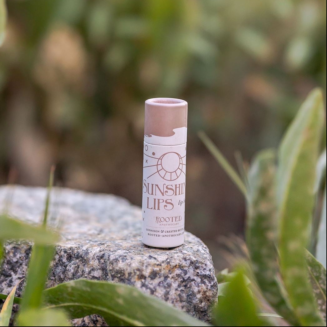 Sunshine Lips Lip Balm